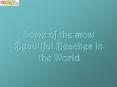 Some of the most Beautiful Beaches in the World PowerPoint PPT Presentation