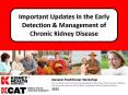 Early Renal Impairment PowerPoint PPT Presentation