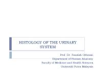 HISTOLOGY OF THE URINARY SYSTEM