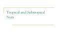 Tropical and Subtropical Nuts PowerPoint PPT Presentation