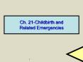 Ch. 21-Childbirth and Related Emergencies PowerPoint PPT Presentation