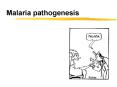 Malaria pathogenesis PowerPoint PPT Presentation