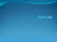 Cell Lab