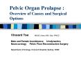 Pelvic Organ Prolapse : Overview of Causes and Surgical Options PowerPoint PPT Presentation