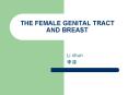 THE FEMALE GENITAL TRACT AND BREAST PowerPoint PPT Presentation