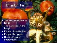 Kingdom Fungi