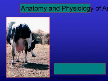 Anatomy and Physiology of Animals