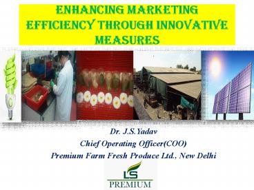 Enhancing Marketing Efficiency Through Innovative Measures
