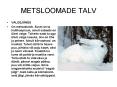 METSLOOMADE TALV PowerPoint PPT Presentation