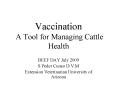Vaccination A Tool for Managing Cattle Health PowerPoint PPT Presentation