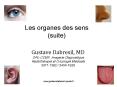 Les organes des sens (suite) PowerPoint PPT Presentation