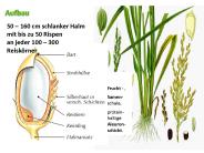 Aufbau