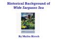 Historical Background of Wide Sargasso Sea PowerPoint PPT Presentation