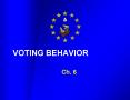 VOTING BEHAVIOR PowerPoint PPT Presentation