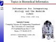 Topics in Biomedical Informatics PowerPoint PPT Presentation