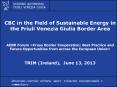 CBC in the Field of Sustainable Energy in the Friuli Venezia Giulia Border Area PowerPoint PPT Presentation