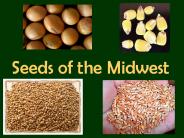 Seeds of the Midwest