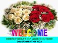 DIRECTORATE OF AGRICULTURE PowerPoint PPT Presentation