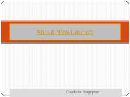 About New Launch
