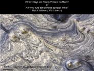 Which Clays are Really Present on Mars?