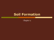 Soil Formation