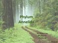 Phylum Annelida PowerPoint PPT Presentation
