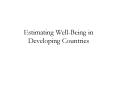 Estimating Well-Being in Developing Countries PowerPoint PPT Presentation