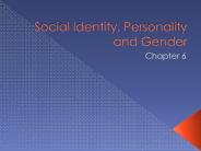 Social Identity, Personality and Gender