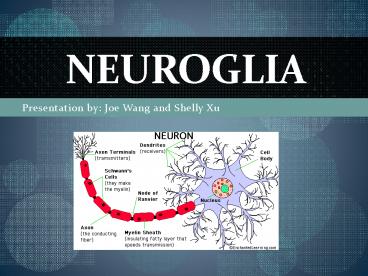 Presentation by: Joe Wang and Shelly Xu