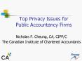 Top Privacy Issues for Public Accountancy Firms PowerPoint PPT Presentation