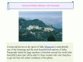 Mussoorie Perfect Getaway in the Himalayas PowerPoint PPT Presentation