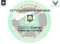Air Force Grooming Standards   C/Lt Col Sheehan Inspector General PowerPoint PPT Presentation