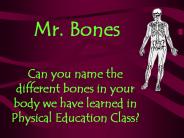 Mr. Bones