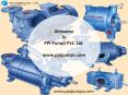Liquid Ring Vacuum Pump - Applications and Features by www.ppipumps.com PowerPoint PPT Presentation