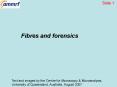 Fibres and forensics PowerPoint PPT Presentation