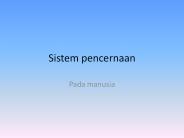 Sistem pencernaan