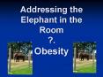 Addressing the Elephant in the Room ?. Obesity PowerPoint PPT Presentation