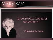 UM PLANO DE CARREIRA MAGN