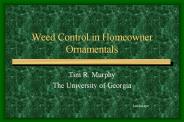 Weed Control in Homeowner Ornamentals
