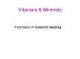 Vitamins PowerPoint PPT Presentation