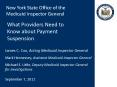 PPACA 6402(h): Credible Allegations of Fraud  and New York PowerPoint PPT Presentation