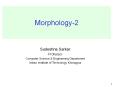 Morphology-2 PowerPoint PPT Presentation