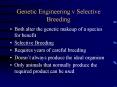 Genetic Engineering v Selective Breeding PowerPoint PPT Presentation