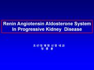 Renin Angiotensin Aldosterone System
