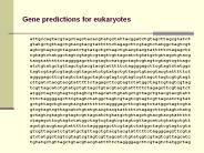 Gene predictions for eukaryotes