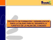 PROYECTO DE FORMACI