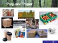 Pulp and Paper PowerPoint PPT Presentation