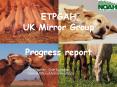 ETPGAH UK Mirror Group PowerPoint PPT Presentation