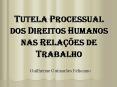 TUTELA PROCESSUAL DOS DIREITOS HUMANOS NAS RELA PowerPoint PPT Presentation