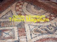civitas tritiensium